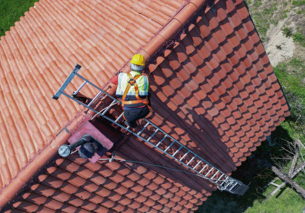 Best Gutter Installation and Repair  in Santa Rosa, TX